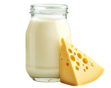 Dairy, Eggs & Milk Products