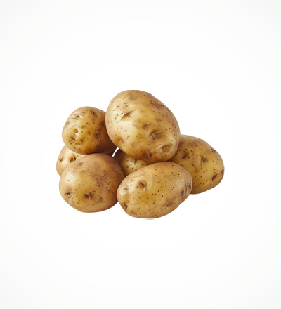 Potato