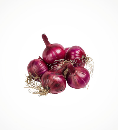 Onion Red