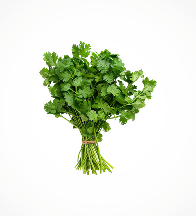 Coriander Leaves