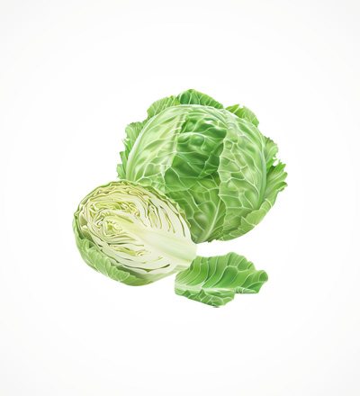 Cabbage