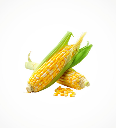 Sweet Corn