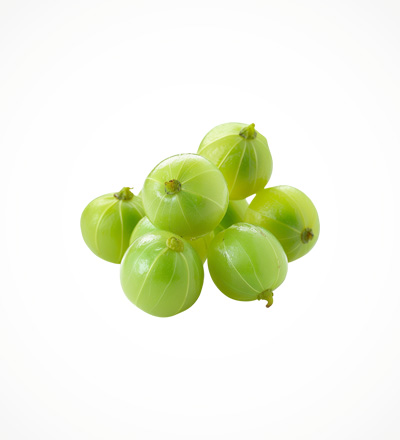 Gooseberry