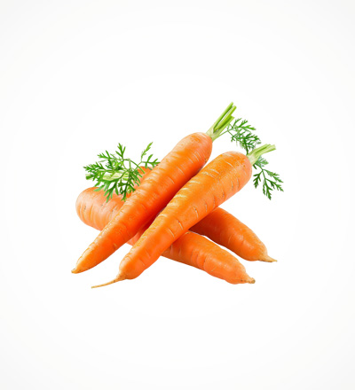 Carrot