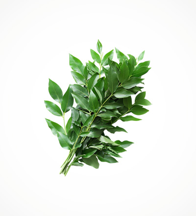 Fenugreek Leaves